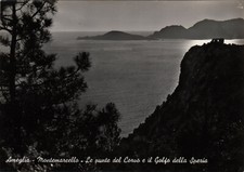 Ng1270 ameglia spezia usato  Napoli