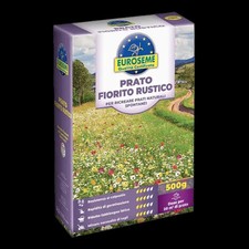 Semi prato fiorito usato  Grottaferrata