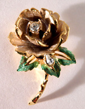 princess diana rose for sale princess diana rose for sale Cleveland