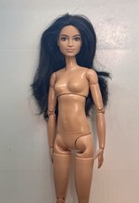 Mattel barbie fashionistas for sale  Elgin