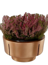 Moderne grabschale bronze gebraucht kaufen  Mahlberg