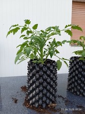 Superroot air root gebraucht kaufen  Blomberg