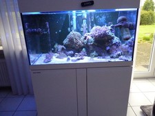 Meerwasser aquarium komplett gebraucht kaufen  Hamm