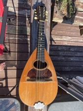 Vintage mayflower mandolin. for sale  Big Sandy