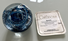 Caithness paperweight spindrif for sale  TONBRIDGE
