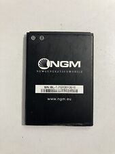 Batteria originale ngm usato  Italia