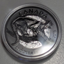 2018 canadian nocturnal d'occasion  Expédié en Belgium