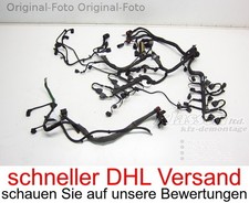 Kabelbaum motorelektrik phaeto gebraucht kaufen  Meschede