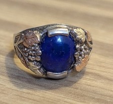 Black hills blue for sale  Fernandina Beach