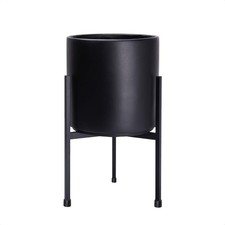 Modern black plants for sale  Eugene
