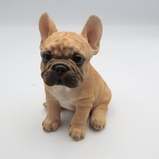 french bulldog for sale french bulldog for sale UK