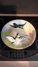 Grand plat porcelaine d'occasion  Voisins-le-Bretonneux