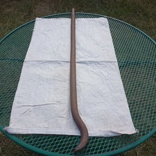 Vintage crowbar forest for sale  COLEFORD