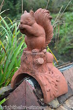 Red squirrel roof for sale  HORSHAM