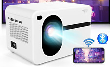 Croseau proiettore bluetooth usato  Bovolone