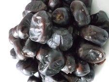 Iranian date palm for sale  LONDON