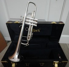 Vincet bach stradivarius for sale  Phoenix