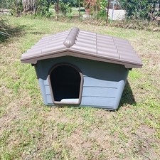 Cuccia per cani usato  Castelfranco di Sotto