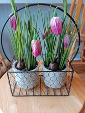 Decorative wire basket for sale  Hinckley