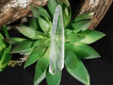 Lot three lemurian for sale  Salt Lake City