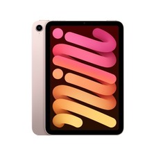 Apple ipad mini usato  Italia
