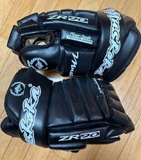 Muskoka ice hockey for sale  Chicago