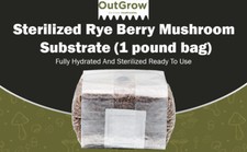 Sterilized rye berry for sale  Mc Connell