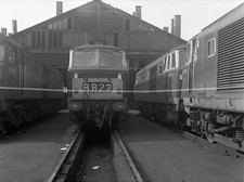 6x4cm negative type for sale  SOMERTON