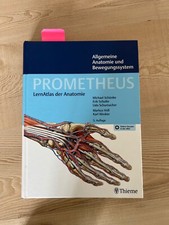 Prometheus lernatlas anatomie gebraucht kaufen  Mönchengladbach