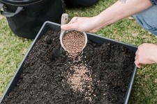 Potato vegetable fertiliser for sale  SOUTH SHIELDS