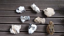 Paket mittelgroße hühnergöt gebraucht kaufen  Schwerin