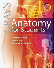 Gray anatomy students for sale  ROSSENDALE