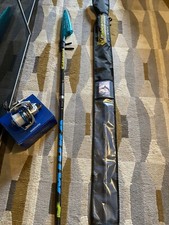 Canna pesca surfcasting usato  Plodio