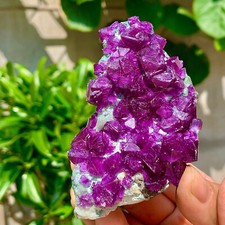 Cubo roxo transparente raro 85 g fluorita cristal mineral amostra/China comprar usado  Enviando para Brazil