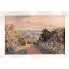 SEVENOAKS Kent Widok zachodu słońca z High Street - antyczny nadruk ok. 1910 na sprzedaż SEVENOAKS Kent Widok zachodu słońca z High Street - antyczny nadruk ok. 1910 na sprzedaż  Wysyłka do Poland