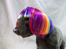 Cute rainbow multi for sale  Oak Hill
