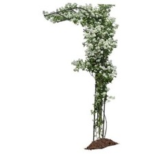 Half sided arch for sale  Miami
