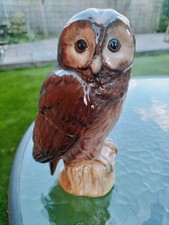 Tawny owl royal for sale  BARNSLEY