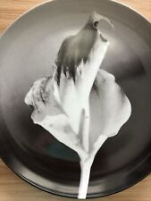 Robert mapplethorpe flower for sale  Chapel Hill