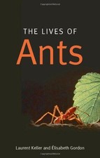 Lives ants keller for sale  ROSSENDALE