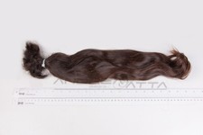 Coda cavallo castana usato  Limbiate