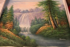 Tom water fall for sale  North Fort Myers
