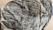Felldecke rex kaninchen gebraucht kaufen  München