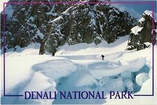 Denali national park for sale  Kannapolis