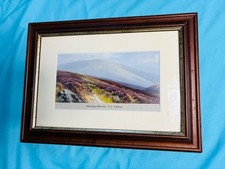 F.j. widgery framed for sale  LAUNCESTON