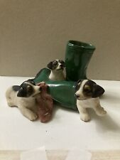 Jack russell terrier for sale  SHANKLIN