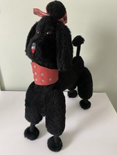Toy poodle black for sale Toy poodle black for sale  SWANSEA