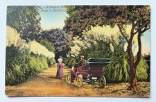 Cartão postal vintage K7 A Pampas Grass Road in California CA casal em carro a motor comprar usado  Enviando para Brazil