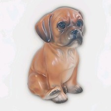 Sitting boxer puppy for sale  SWADLINCOTE