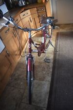 Classic style lady for sale  PONTYPOOL